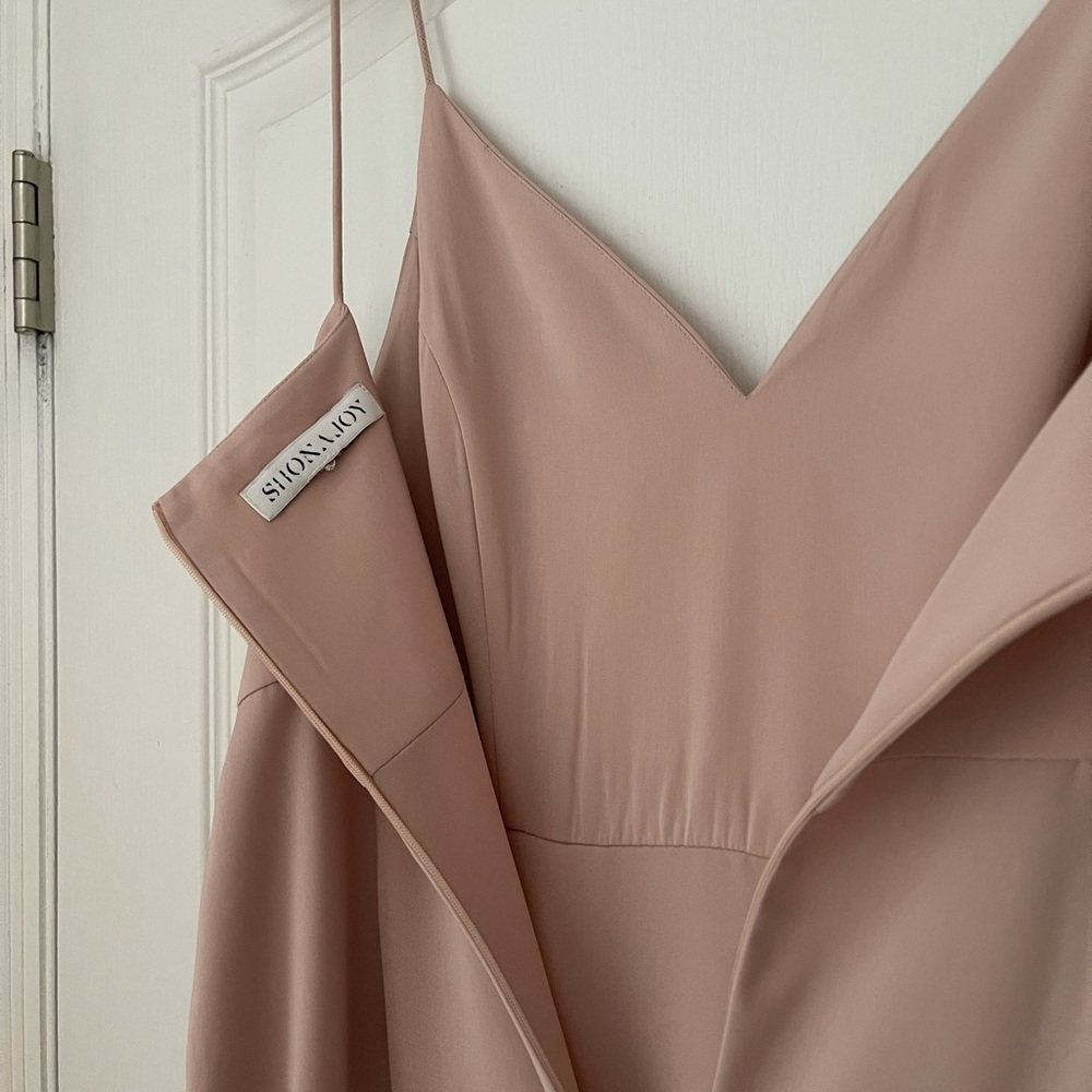 Shona Joy dress